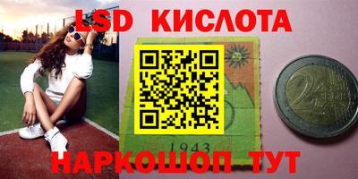 стафф Партизанск