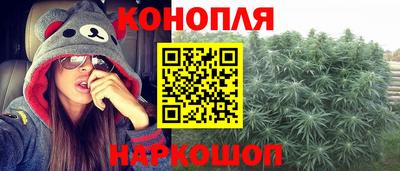 PSILOCYBIN Пенза