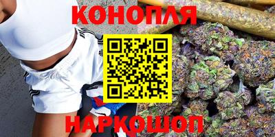стафф Партизанск