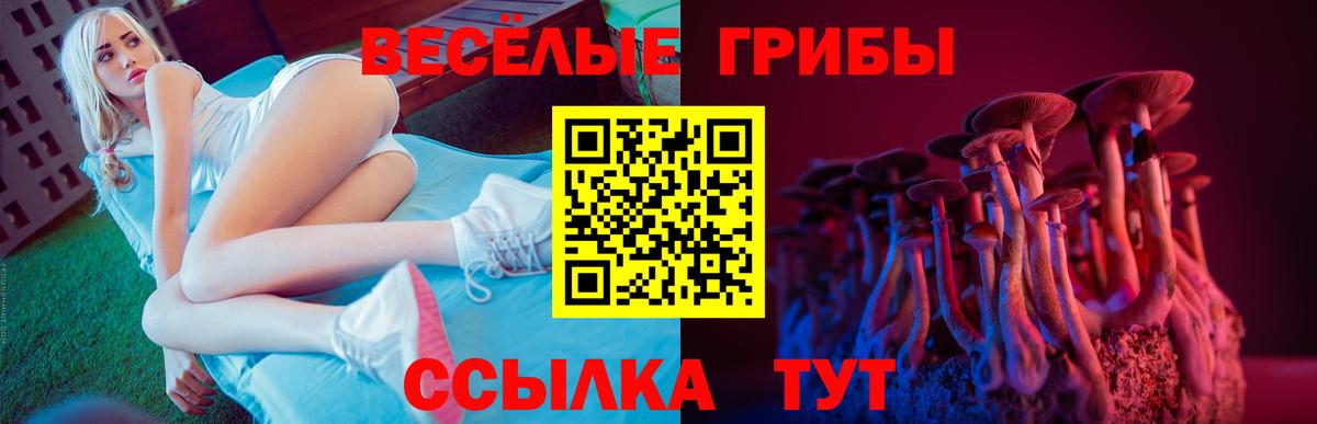 Симферополь  Галлюциногенные грибы Psilocybine cubensis  Вход с VPN 
